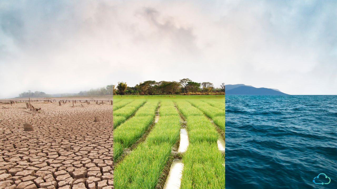 How Climate Change Is Quietly Changing Advertising
